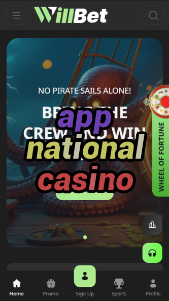 app national casino-bandasonoracasino.asdasdzhjkds.com